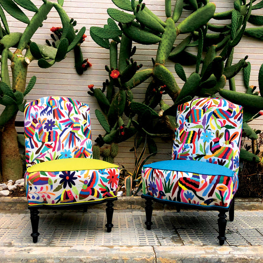 Ka´a suku´un: Primos